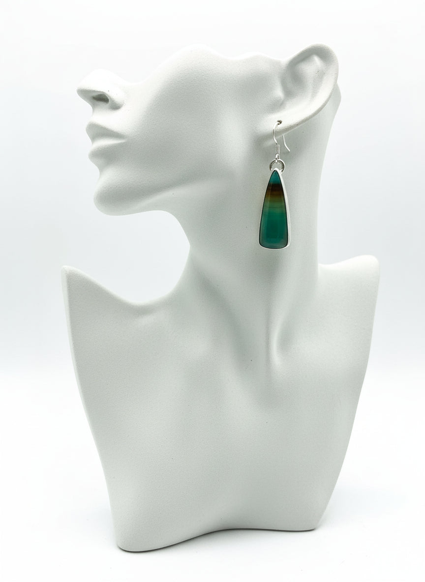 Earrings - Petrified Palm Wood Sterling Silver