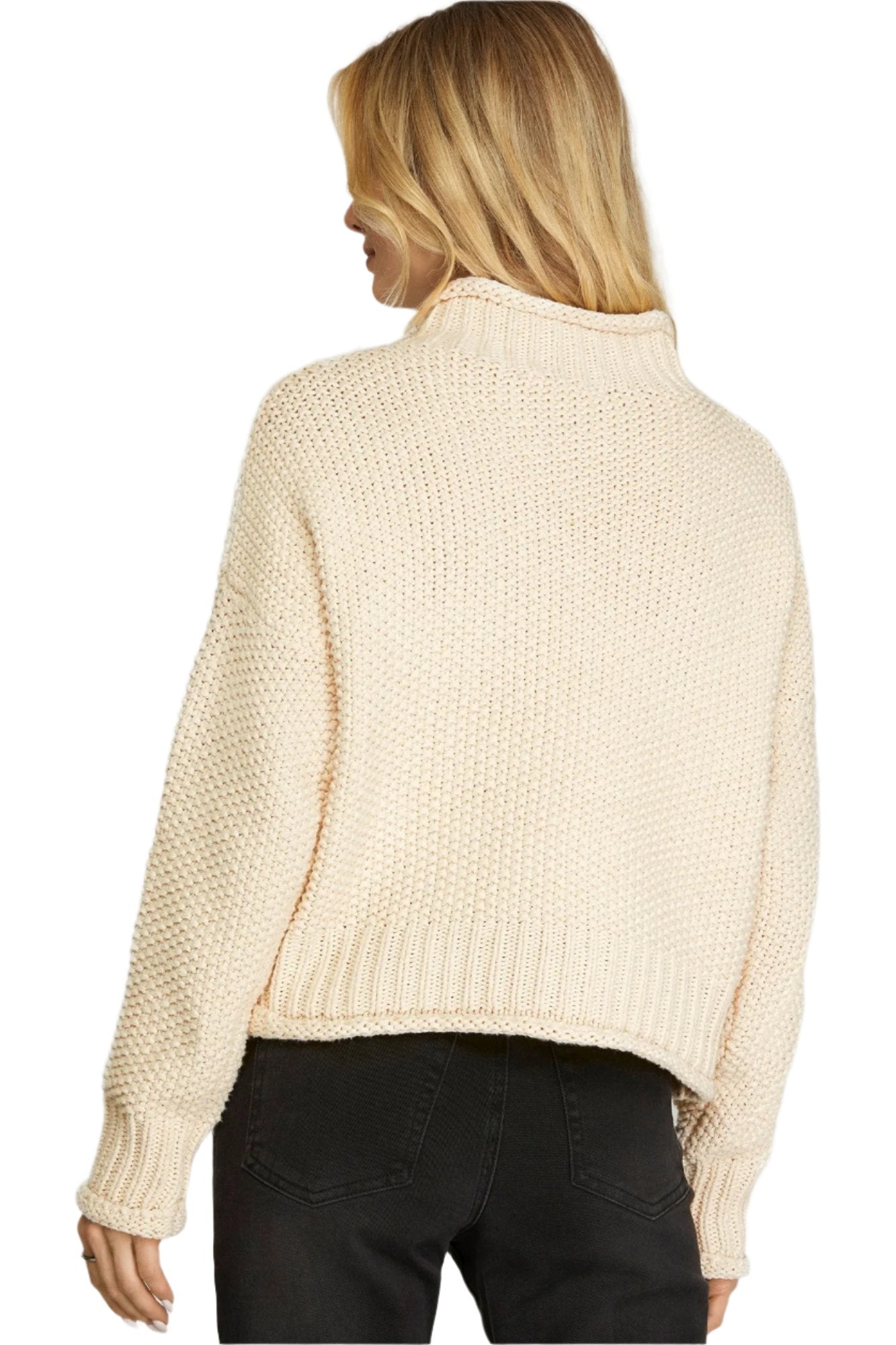 Long Sleeve Turtle Neck Sweater Top