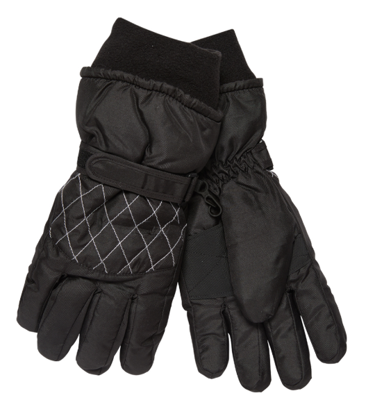 Ladies Thinsulate Ski Gloves