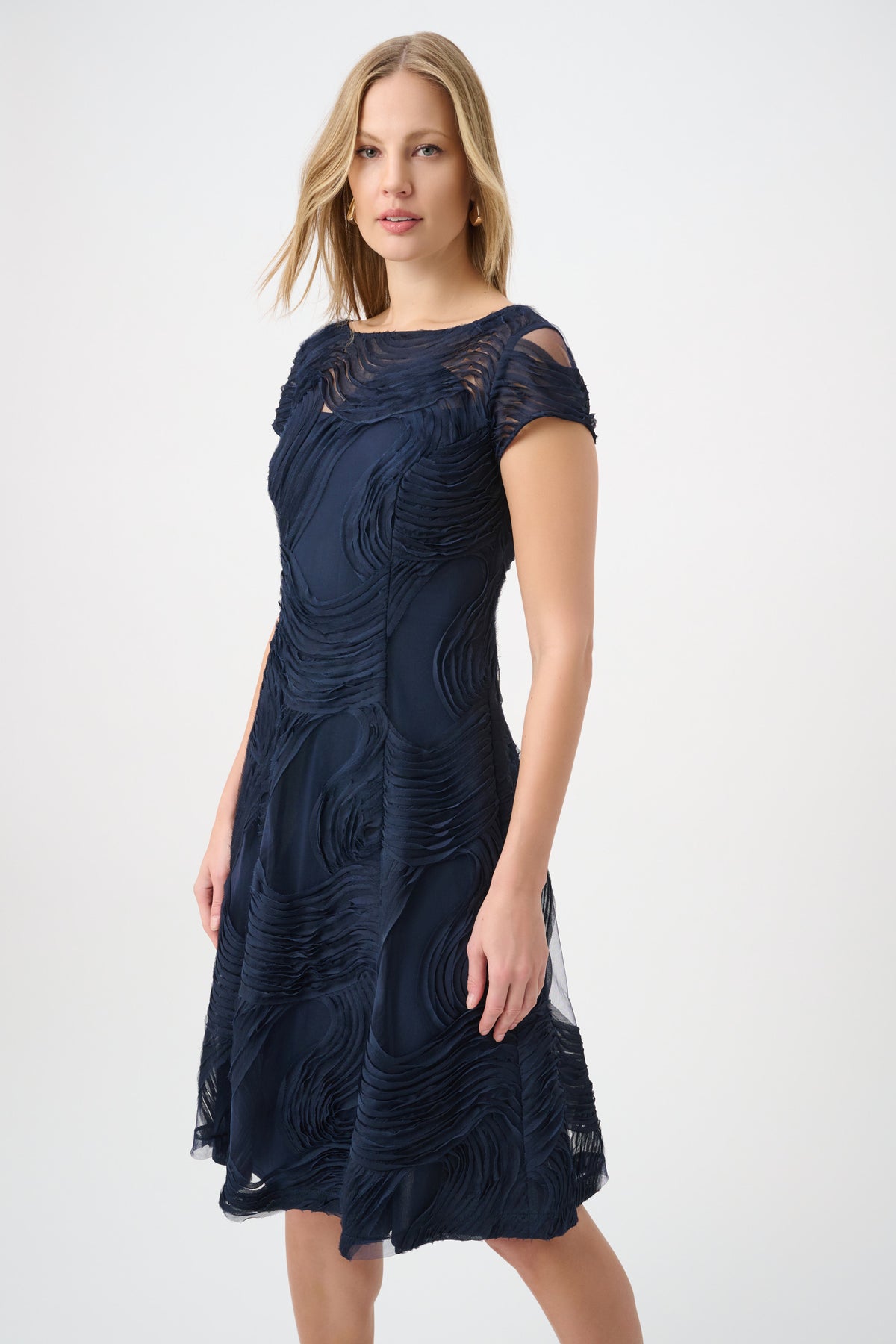 Embroideered Swirl Fit & Flare Dress