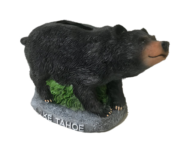 Resign Bear Bank Lake Tahoe