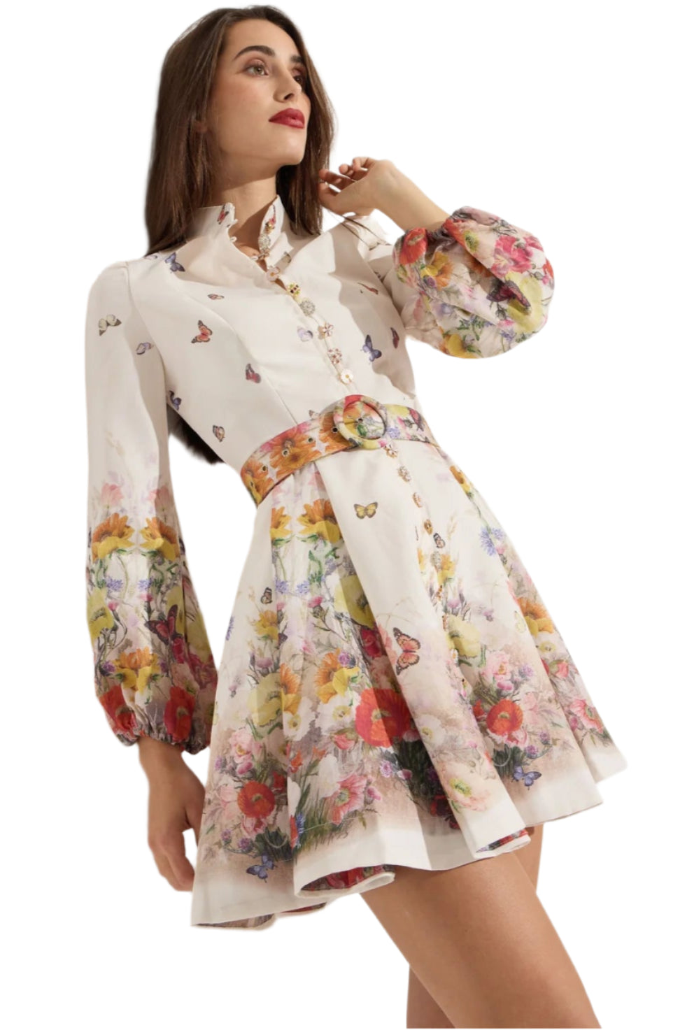 Butterfly/Daisy Print High Neck Belted Short Dress